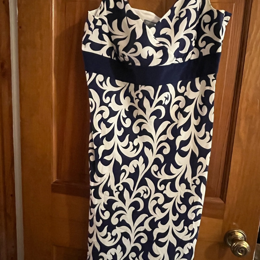Ann Taylor Dress in Navy and White
